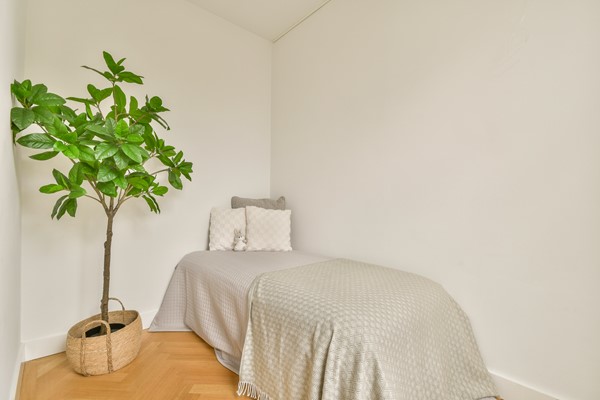 Medium property photo - Jacob Obrechtstraat 1-2, 1071 KC Amsterdam